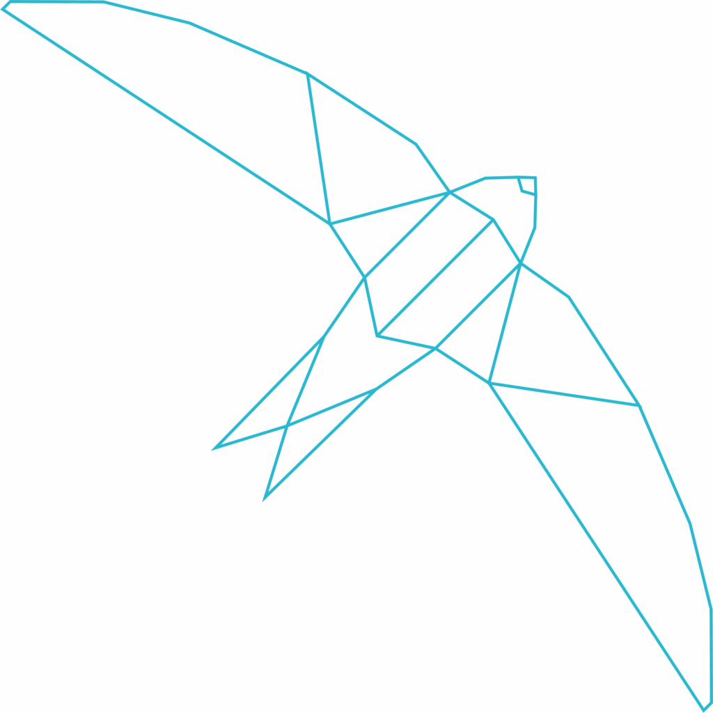 birds flyin' community divorce and separation support