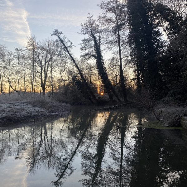 reflecting on the trauma